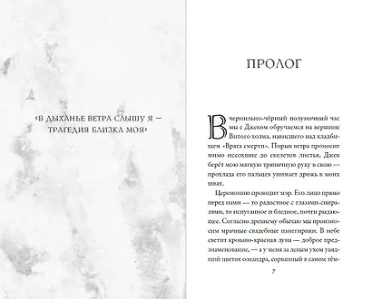 Кошмар перед Рождеством. Салли и похититель грез - фото 4