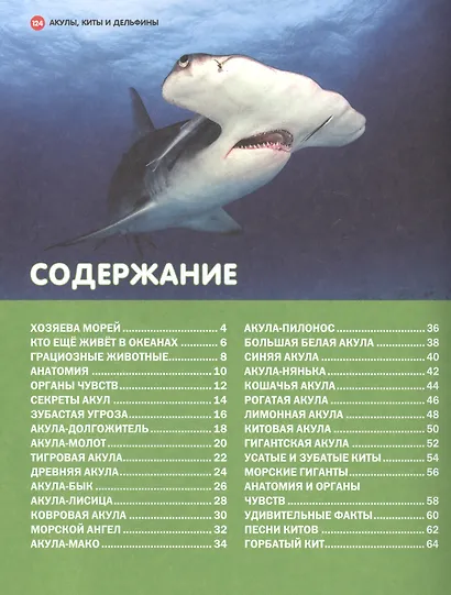 Акулы, киты и дельфины - фото 2