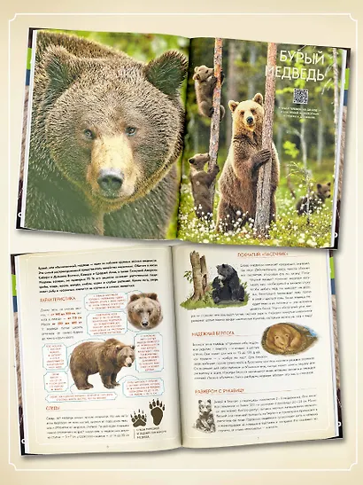 Животные в натуральную величину - фото 5