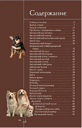 Собаки. Популярный иллюстрированный гид - фото 6
