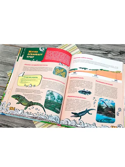 Большая энциклопедия знаний для девочек - фото 7