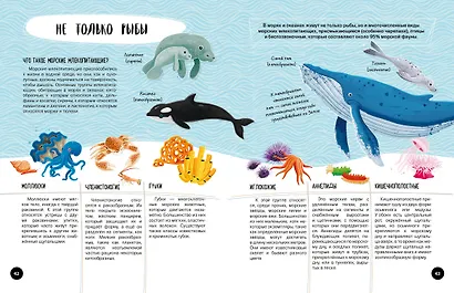 Что? Как? Почему? Мои первые знания про МОРЯ И ОКЕАНЫ (с постером) - фото 9