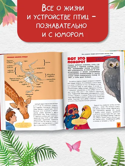 Птицы. Биология. Физиология - фото 4