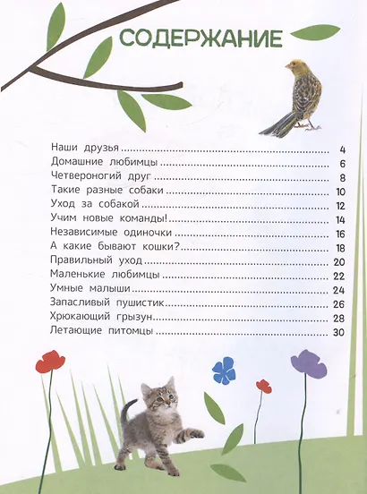 Домашние любимцы. Энциклопедия для первого чтения с крупными буквами - фото 3