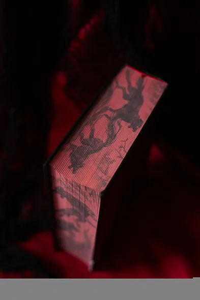 Мрачный взвод. Специальное издание - фото 9