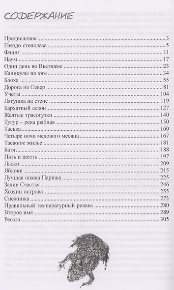 Лягушка на стене - фото 2