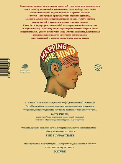 Как работает мозг - фото 2