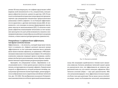 Пруст и кальмар. Нейробиология чтения - фото 8