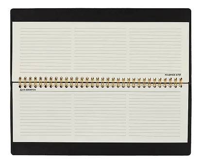 Планинг недат. 56л "Callisto" черный бархат, настольный, иск.кожа, интегр.переплет, скругл.углы, тонир.блок, тисн.фольгой, евроспираль, офсет - фото 4