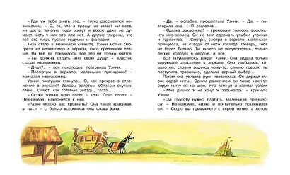 Маленькая принцесса - фото 4