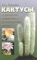 Кактусы в домашней коллекции и под открытым небом - фото 1