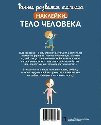 Тело человека - фото 2