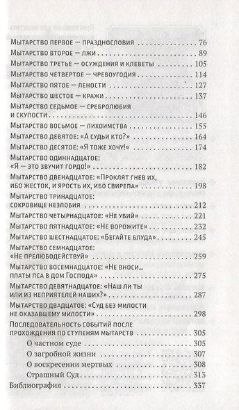 Воздушные мытарства, или Экзамен, которого нельзя избежать - фото 3