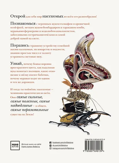 Поразительные насекомые. Книга про подземных математиков, мастеров блефа, дружных кочевников, зомби, уборщиков мусора и многих-многих других - фото 2
