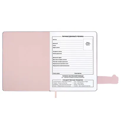 Дневник шк. "Ща всё будет" кожзам, тв.переплёт, тиснение фольгой, магнит.клапан, пантон, одно ляссе, загругл.углы, универс.шпаргалка - фото 10