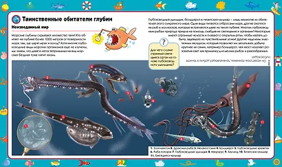 Море - фото 7