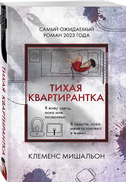 Тихая квартирантка - фото 3