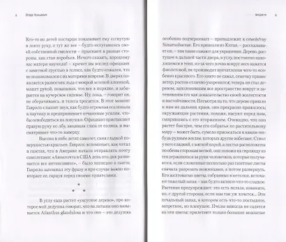 Маджун (свет детства, цвет детства, завет детства) - фото 3