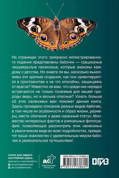 Бабочки. Иллюстрированный гид - фото 2