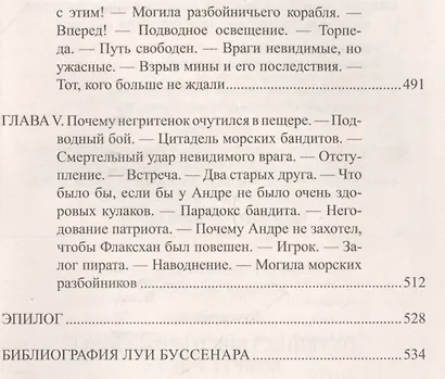 Путешествие парижанина вокруг света - фото 9