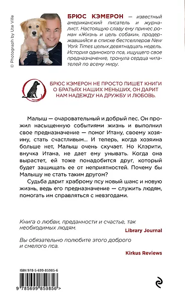 Путешествие хорошего пса - фото 2