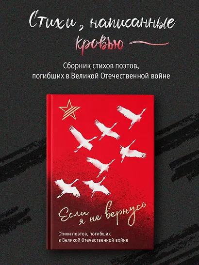 Если я не вернусь. Стихи поэтов, погибших в Великой Отечественной войне - фото 3