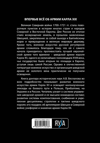 Армия Карла XII. Золотой век шведской армии - фото 2