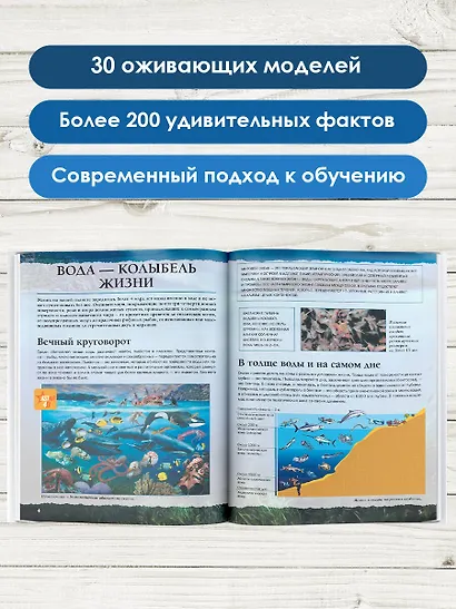 Подводный мир - фото 5