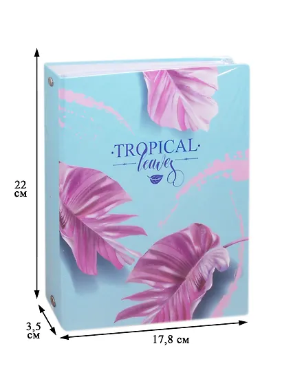 Тетрадь на кольцах в клетку Academy Style, "Монстера", 100 листов - фото 2