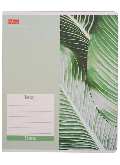 Тетрадь в клетку Hatber, Nature, 24 листа, в ассортименте - фото 1