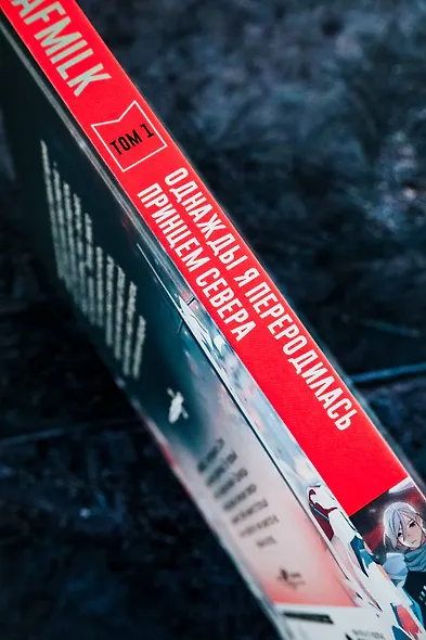 Однажды я переродилась принцем севера. Том 1. Манга - фото 13