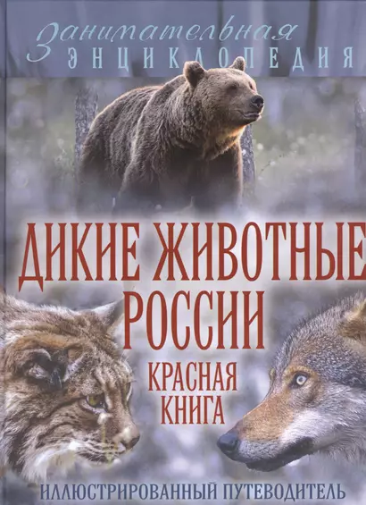 Дикие животные России. Красная книга: иллюстрированный путеводитель - фото 1