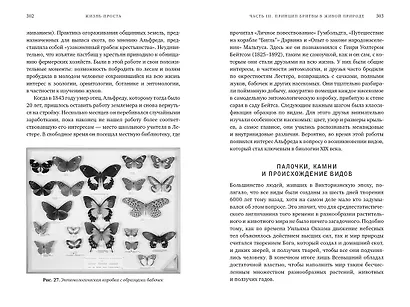 Жизнь проста. Как бритва Оккама освободила науку и стала ключом к познанию тайн Вселенной - фото 6