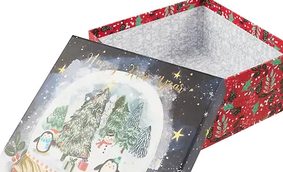 Коробка подарочная "Новогодние пингвинята" НГ, 20*20*9.5, картон - фото 6