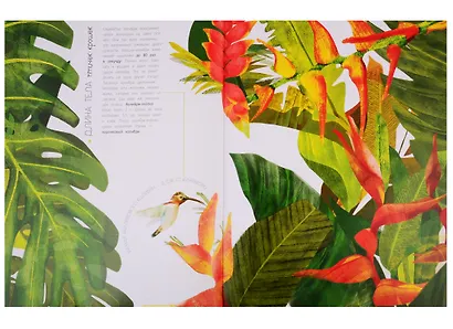 Животные в метрах и миллиметрах - фото 4