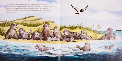 Экологические сказки. Как малыш Робби спасал океан - фото 3