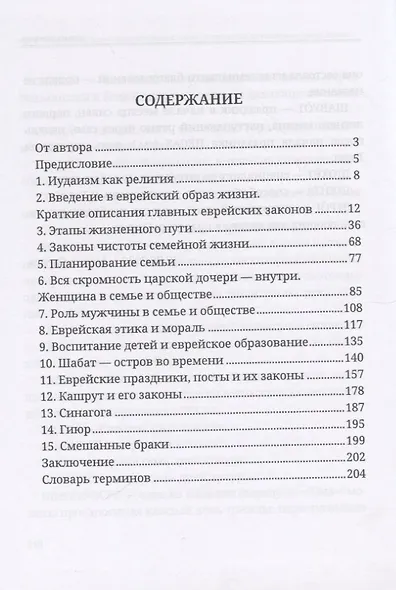 Энциклопедия практического иудаизма. Путеводитель по еврейскому образу жизни - фото 2