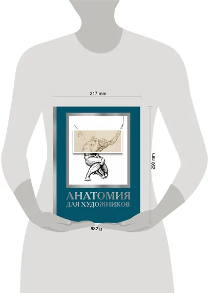 Анатомия для художников - фото 4