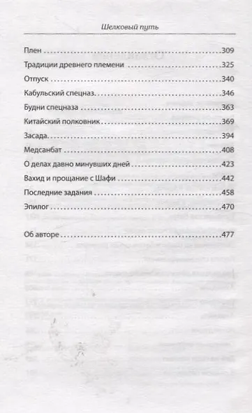 Шелковый путь. Записки военного разведчика - фото 5