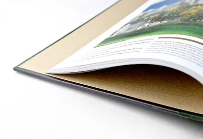 Россия. Главные достопримечательности, загадки русской души и традиции. Книга в коллекционном инкрустированном переплете с тиснением в русском стиле - фото 8