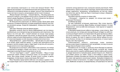 Незнайка в Солнечном городе - фото 7