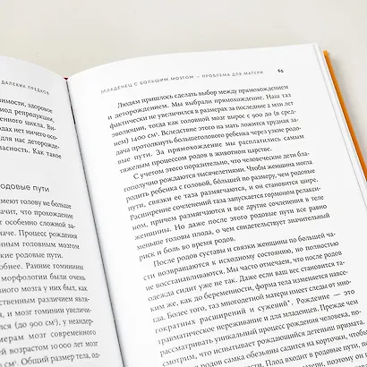 Близкие контакты далеких предков. Как эволюционировал наш вид - фото 2