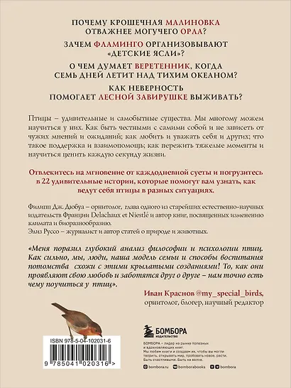 Удивительная философия птиц. Как ласточки относятся к смерти, горлицы сохраняют романтику в отношениях, а утки спасаются от стресса - фото 2