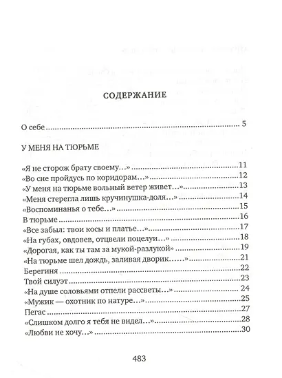 Соколиная книга. Стихи, тексты песен, статьи о поэтах - фото 2