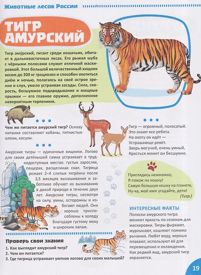 Я уЗНАЮ мир. Дикие животные. Познавательная книга для детей 4-8 лет - фото 4