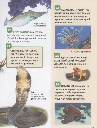Удивительные животные. 250 фактов. Энциклопедия российского школьника - фото 2
