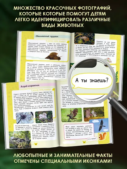 Окружающий мир. Животные - фото 5
