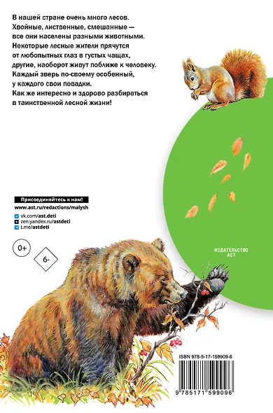 Кто живёт в лесу? - фото 2