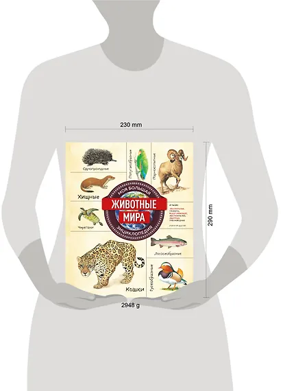 Животные мира. Моя большая энциклопедия - фото 13