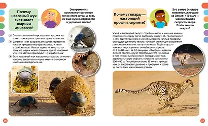 Почему? Вопросы и ответы обо всём на свете - фото 15